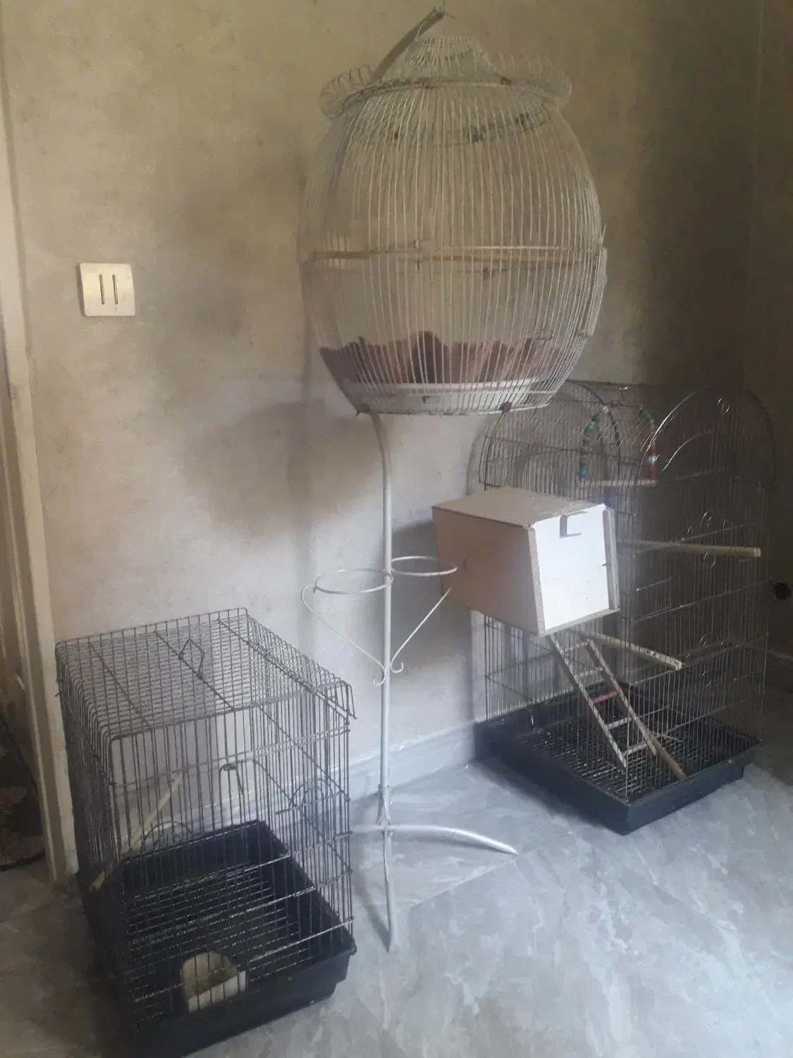 دو قفس طوطی سانان معاوضه با تخت فلزی تک نفره کامل|لوازم جانبی حیوانات|تهران, توحید|دیوار
