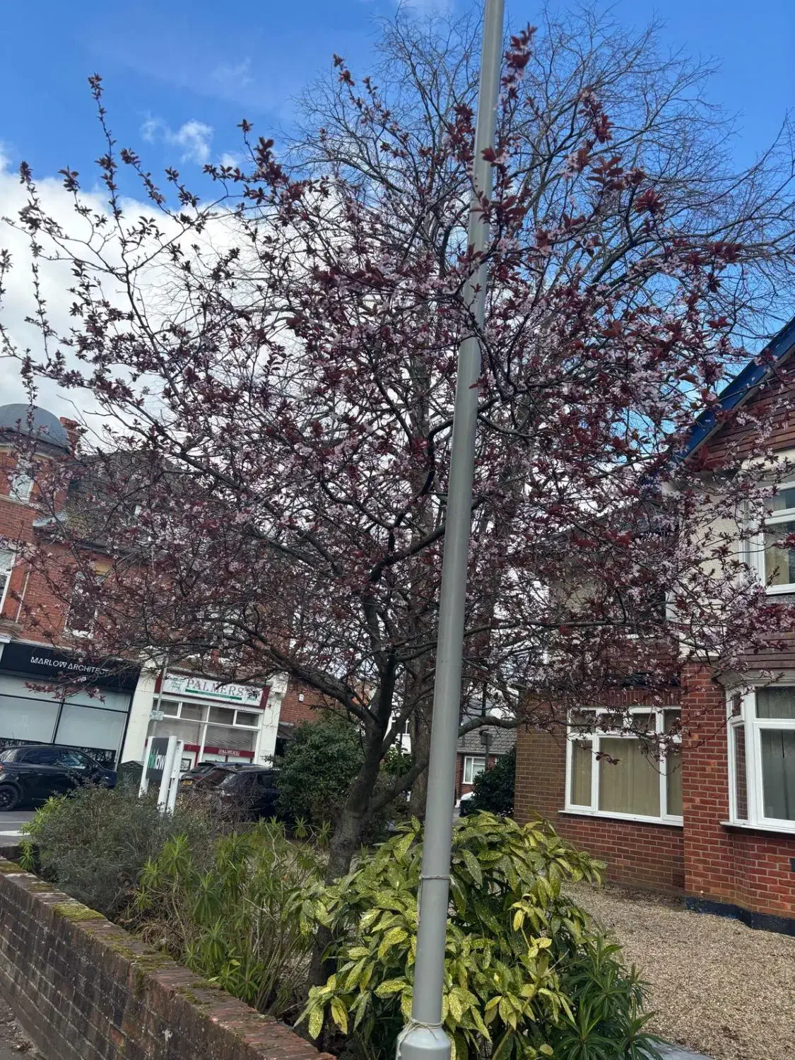 اجاره مغازه پاساژ برهان|اجارهٔ مغازه و غرفه|سنندج, |دیوار