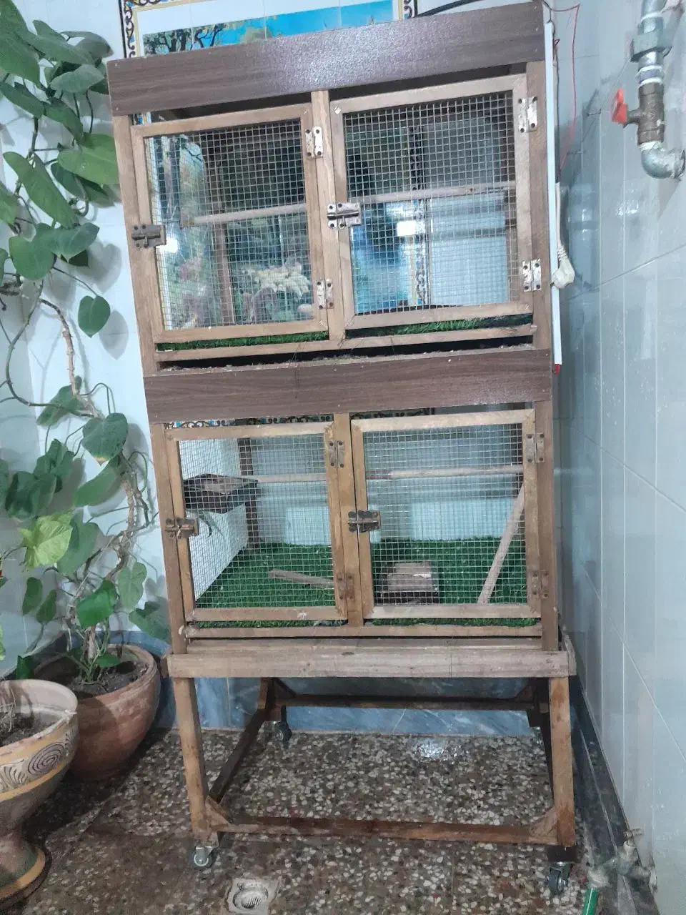 فقس پرنده|لوازم جانبی حیوانات|شیراز, حجت آباد|دیوار