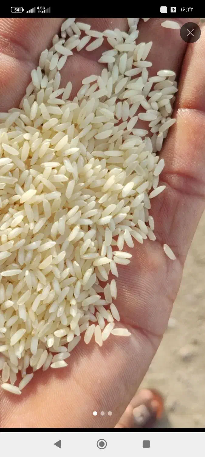 برنج نیم دانه کیلویی معطر سیلاخور 150|خوردنی و آشامیدنی|بروجرد, |دیوار