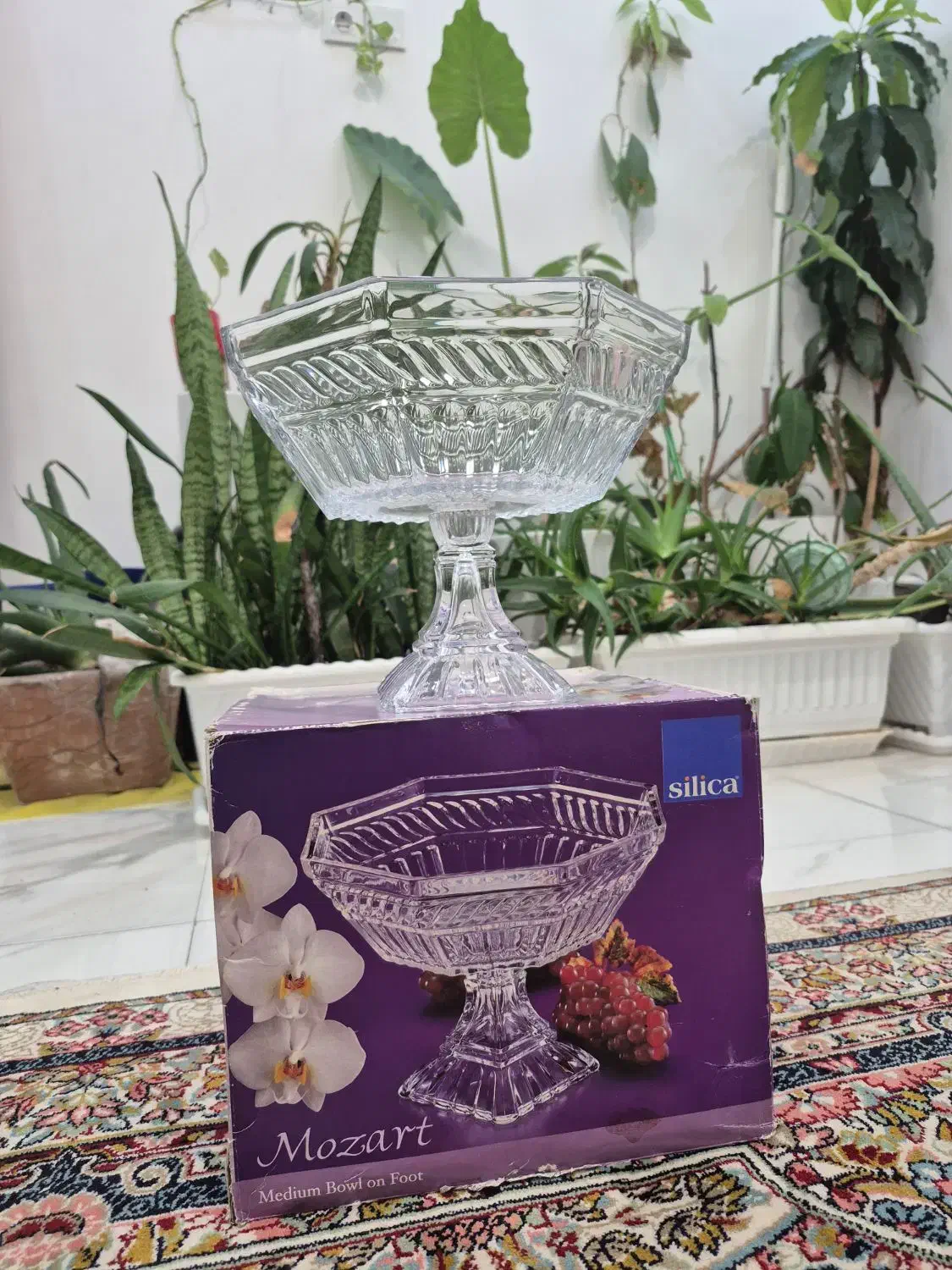 میوه خوری کریستال نو|ظروف سرو و پذیرایی|آمل, |دیوار