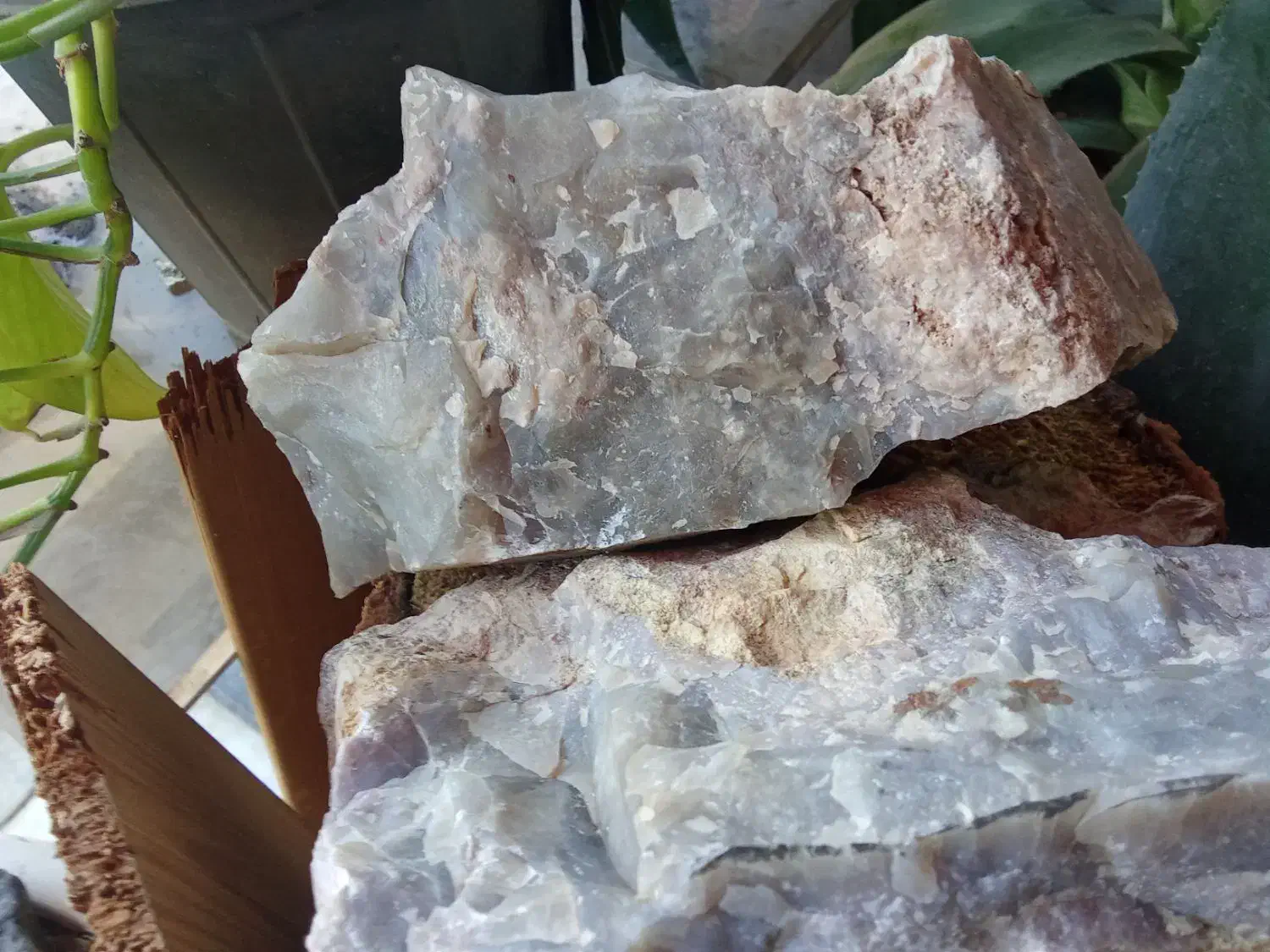 عقیق سوسنی شجر بسیار زیبا و چشم نواز راف|کلکسیون اشیاء عتیقه|هشتگرد, تهران دشت|دیوار