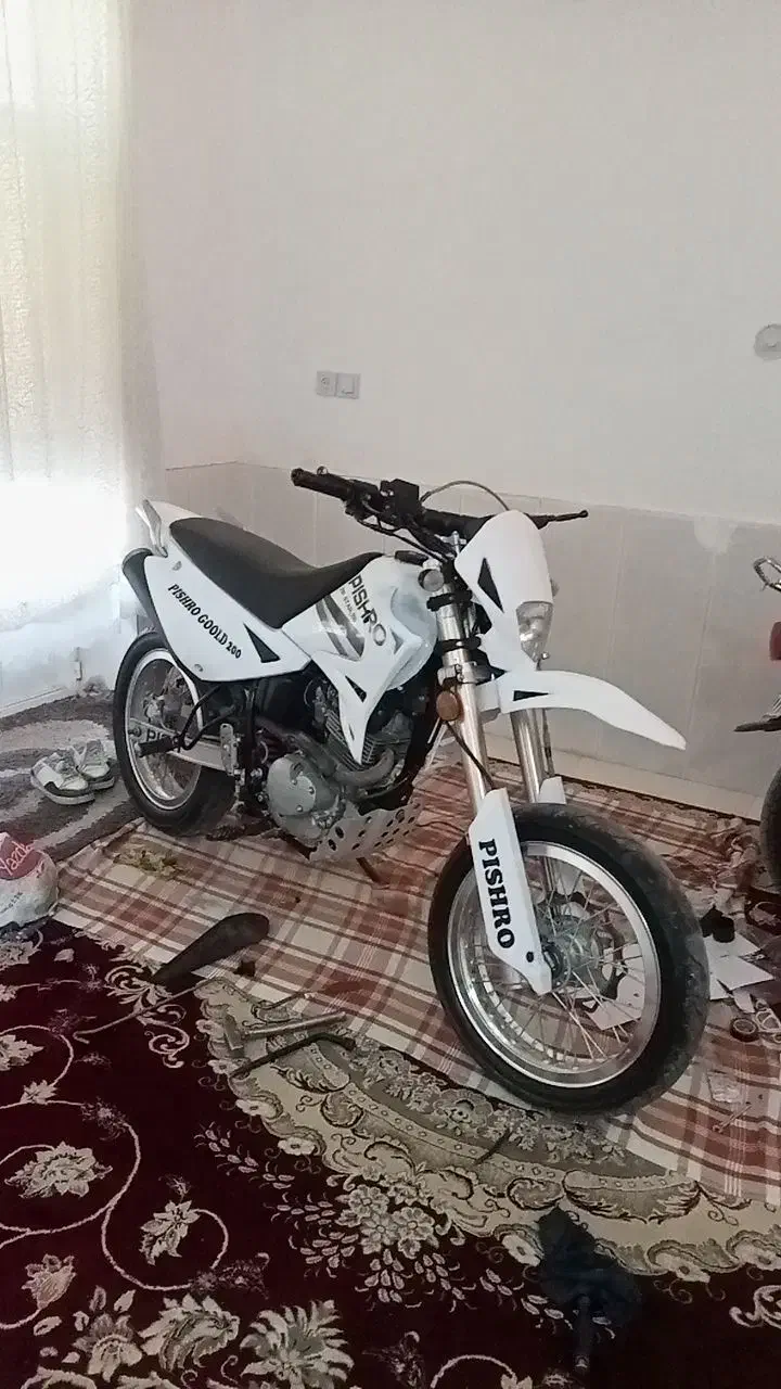 تریل پیشرو گلد200-|موتورسیکلت|تربتحیدریه, پائین ولایت|دیوار