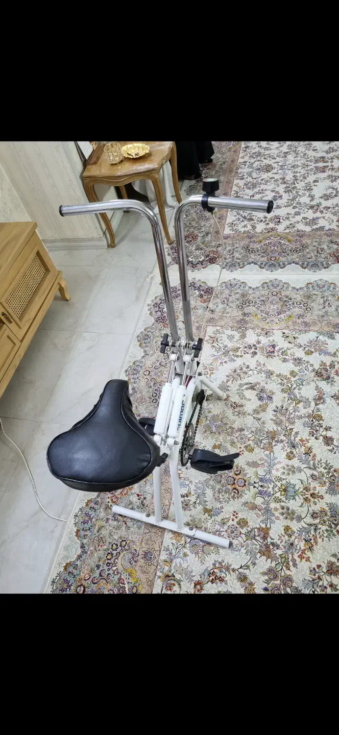 دوچرخه ثابت|تجهیزات ورزشی|ری, شهادت|دیوار