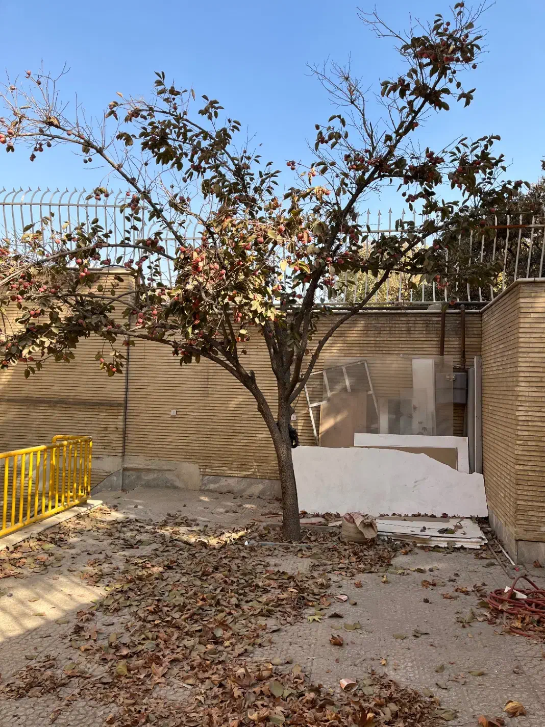 اجاره منزل ۳طبقه دربست|اجارهٔ خانه و ویلا|اصفهان, جاوان|دیوار