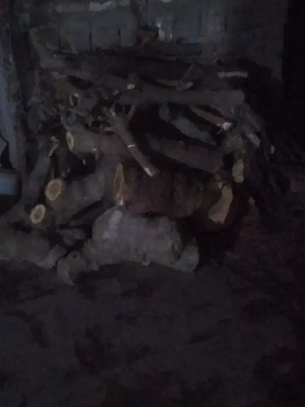 خرید چوب باغی|خدمات باغبانی و درختکاری|سنگدوین, |دیوار