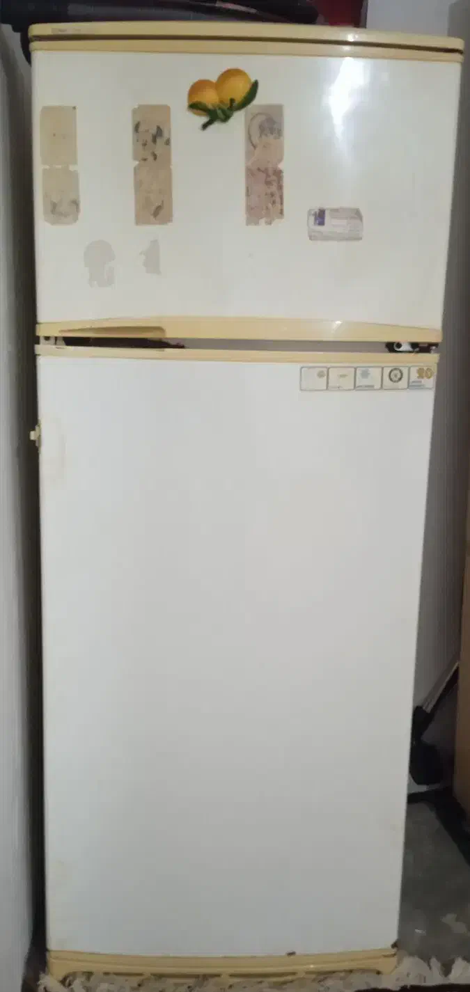 یخچال سالمه سالم|یخچال و فریزر|سرخنکلاته, |دیوار