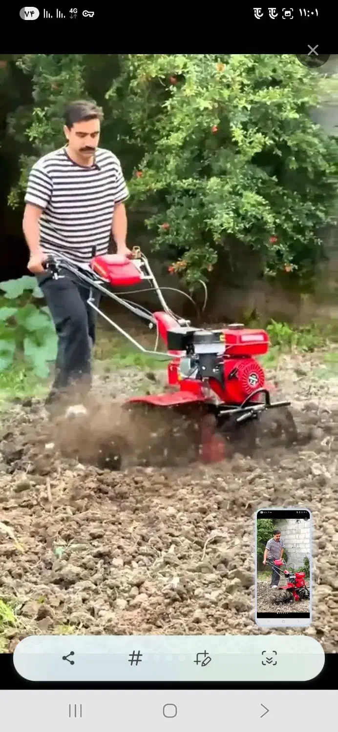 خدمات باغبانی|خدمات باغبانی و درختکاری|قم, پاسدار|دیوار