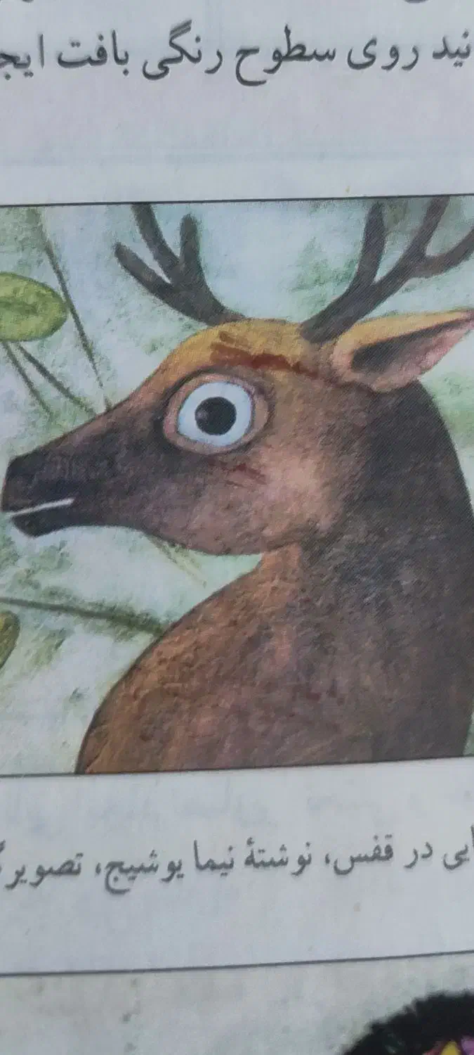 گاوداری|فروش زمین و ملک کلنگی|شال, |دیوار