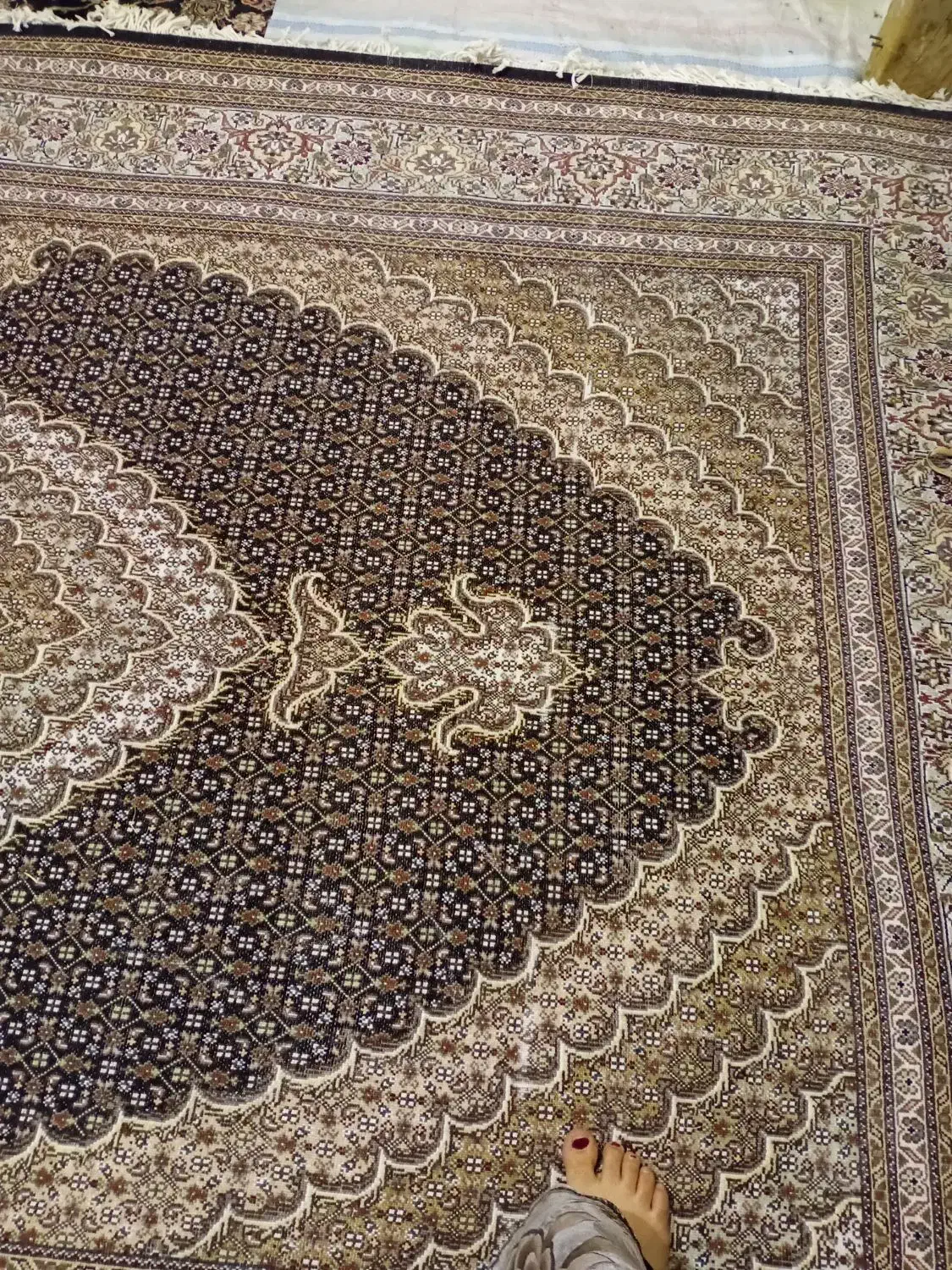 فرش۲ در ۳ متر|فرش|خوی, |دیوار