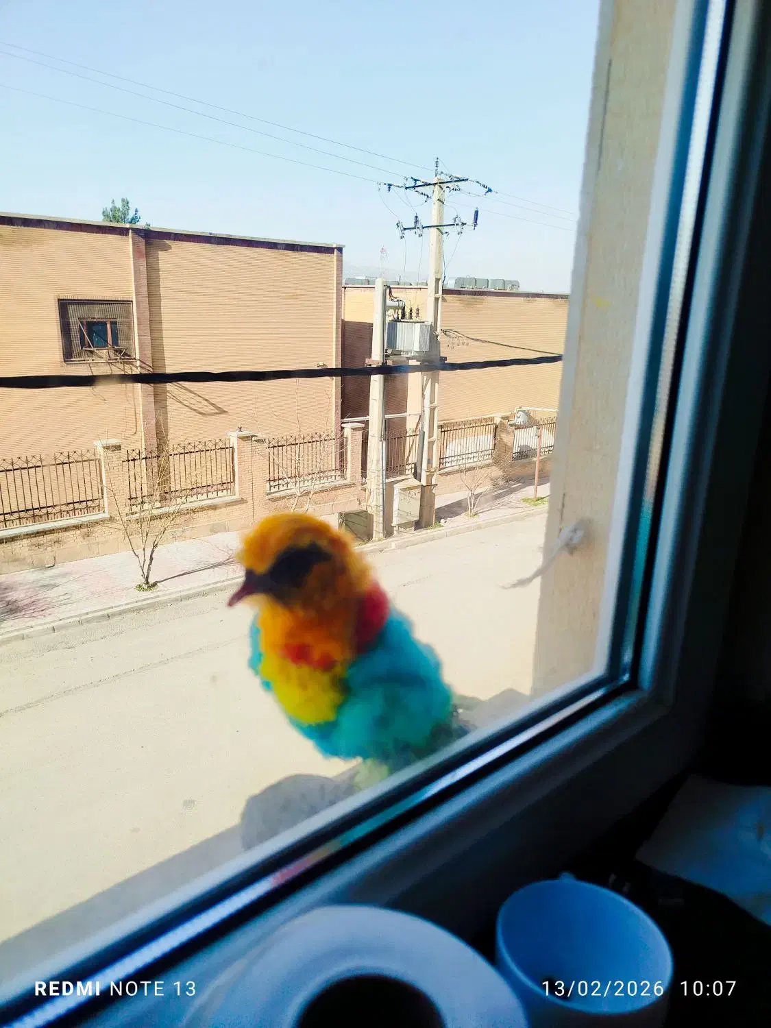 مجسمه|مجسمه، تندیس، ماکت|ایلام, |دیوار