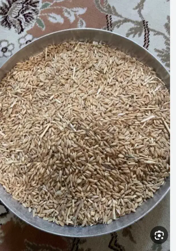 هفتصد هشصد کیلو گندم دیم|خوردنی و آشامیدنی|سربند, |دیوار