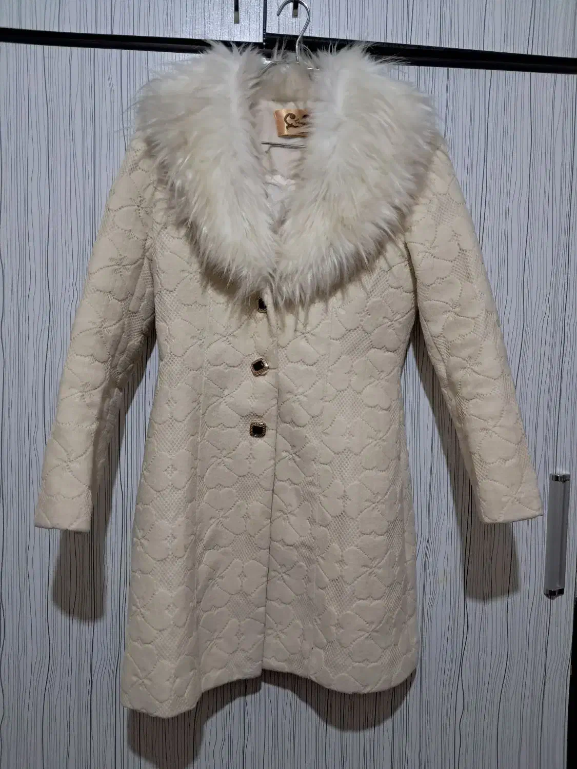 پالتو خزدار نو|لباس|تبریز, |دیوار