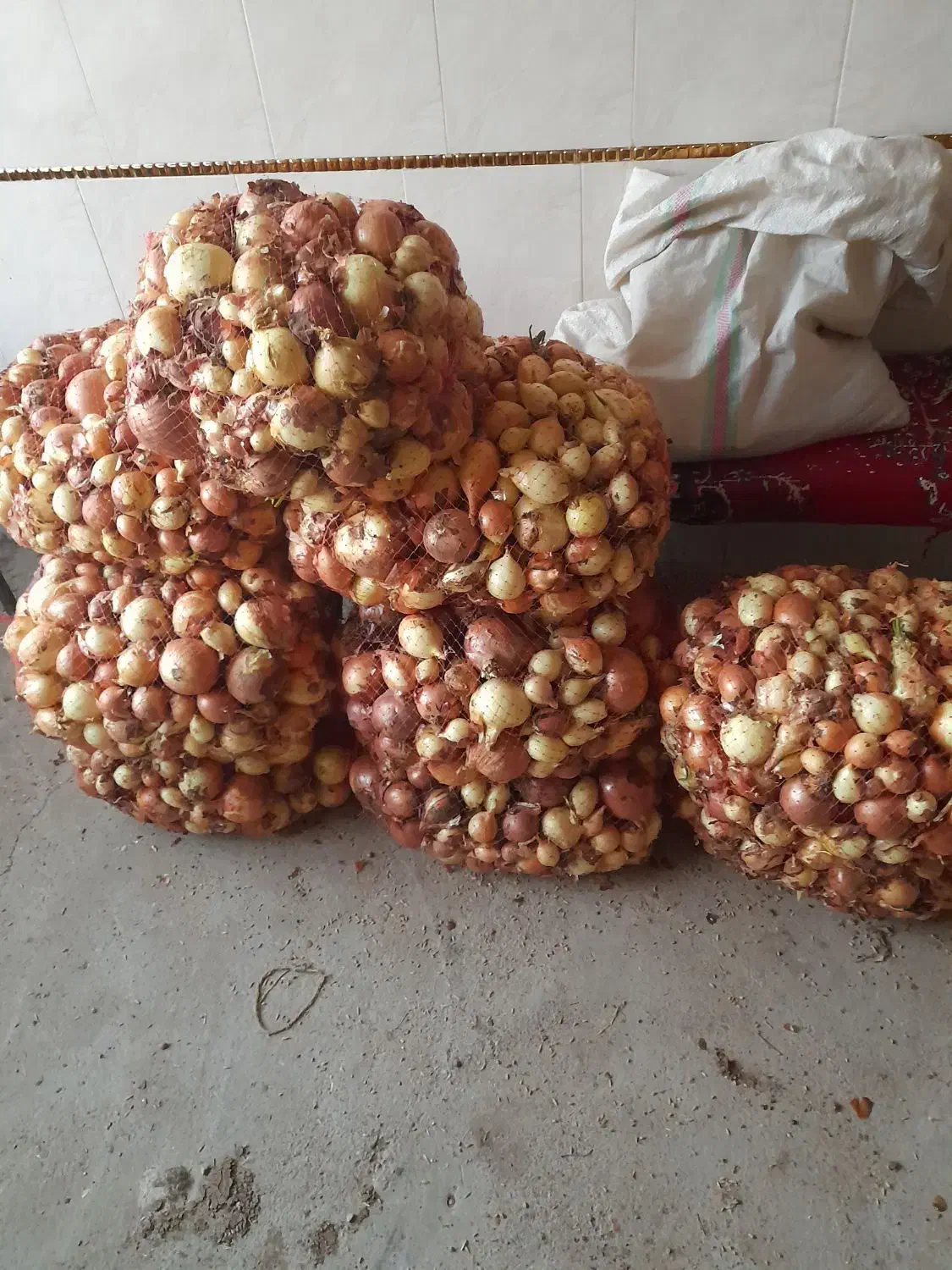 پیاز ترد و تازه|خوردنی و آشامیدنی|نهاوند, |دیوار