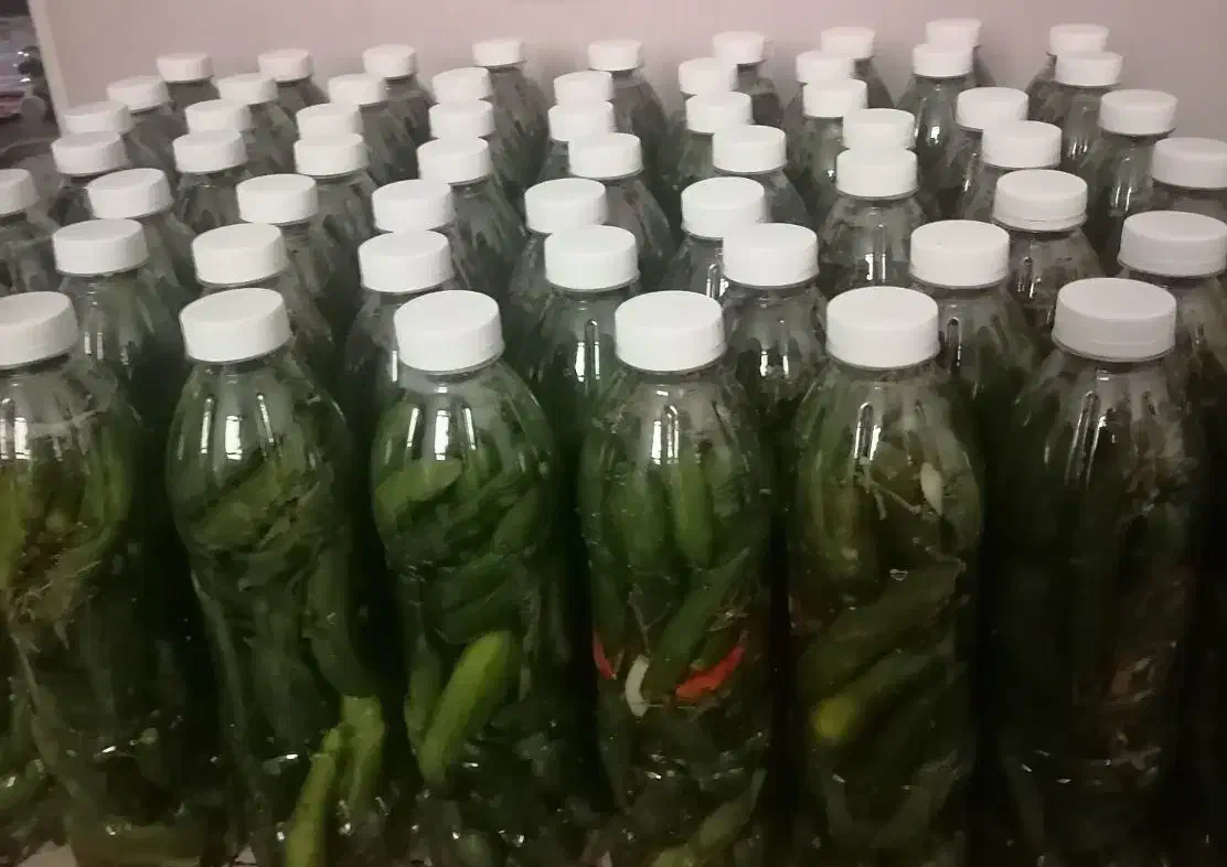 خیارشور خانگی ترد و خوشمزه|خوردنی و آشامیدنی|شیراز, فضلآباد|دیوار