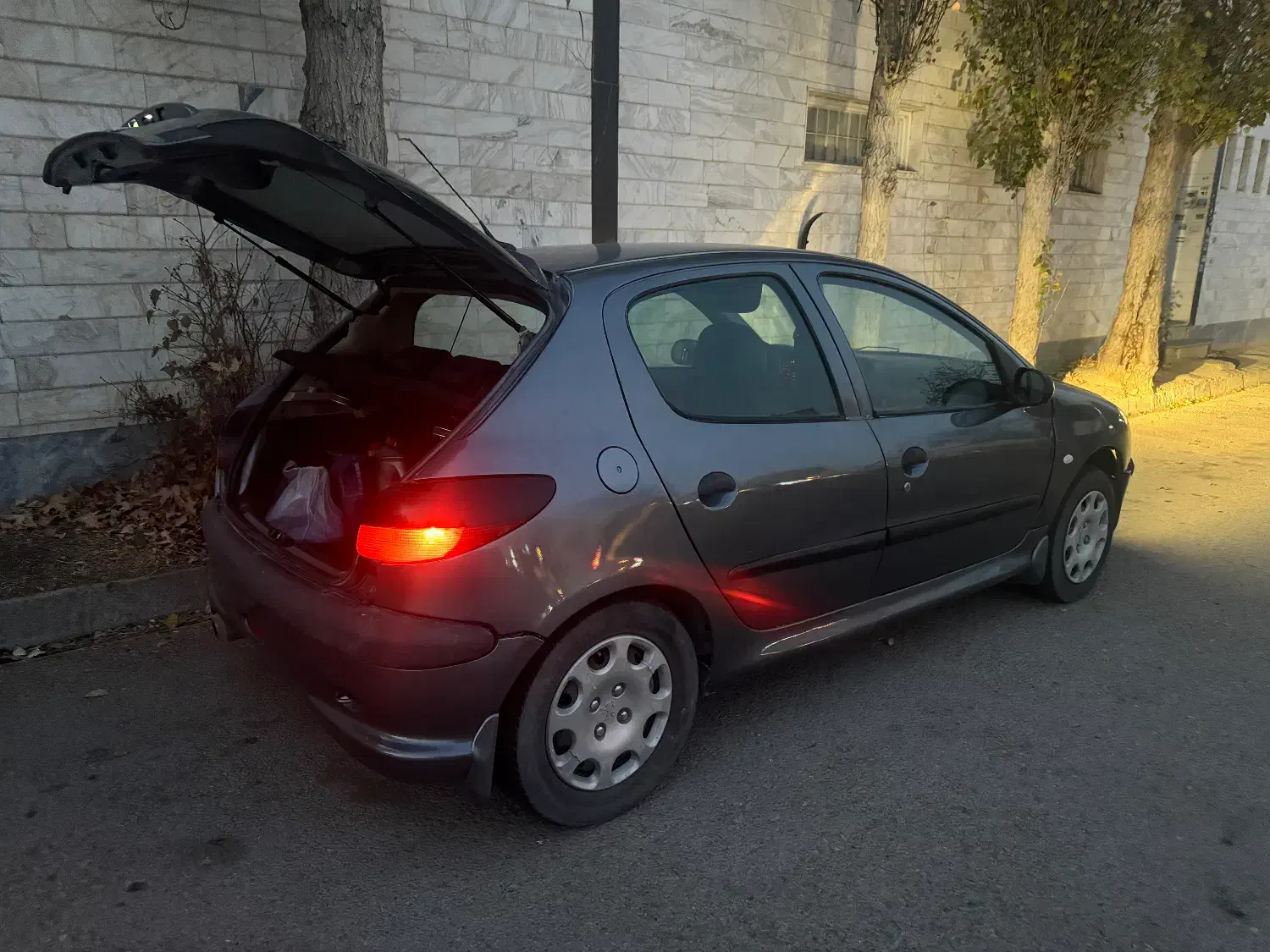 ۲۰۶ تیپ ۲|خودرو سواری و وانت|اردبیل, |دیوار