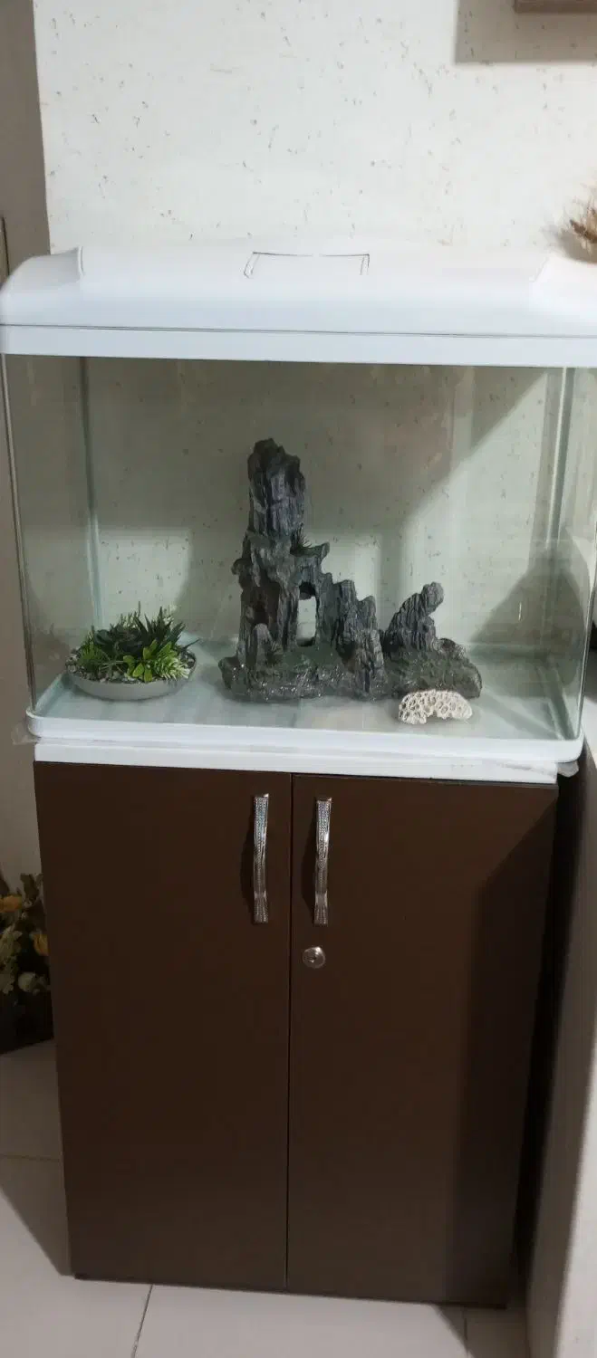 آکواریوم درحدنو|ماهی|کاشان, شهرک خاتم الانبیا (مسکن ملی کاشان)|دیوار