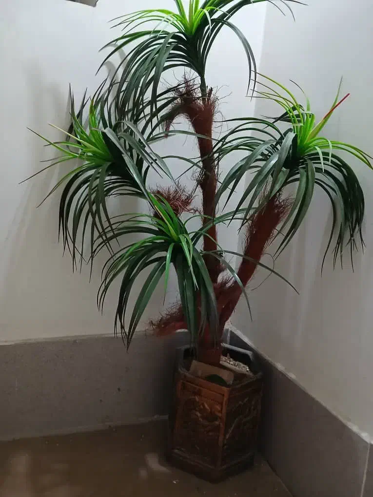 گیاه مصنوعی زینتی|گل مصنوعی|اصفهان, بهارستان|دیوار