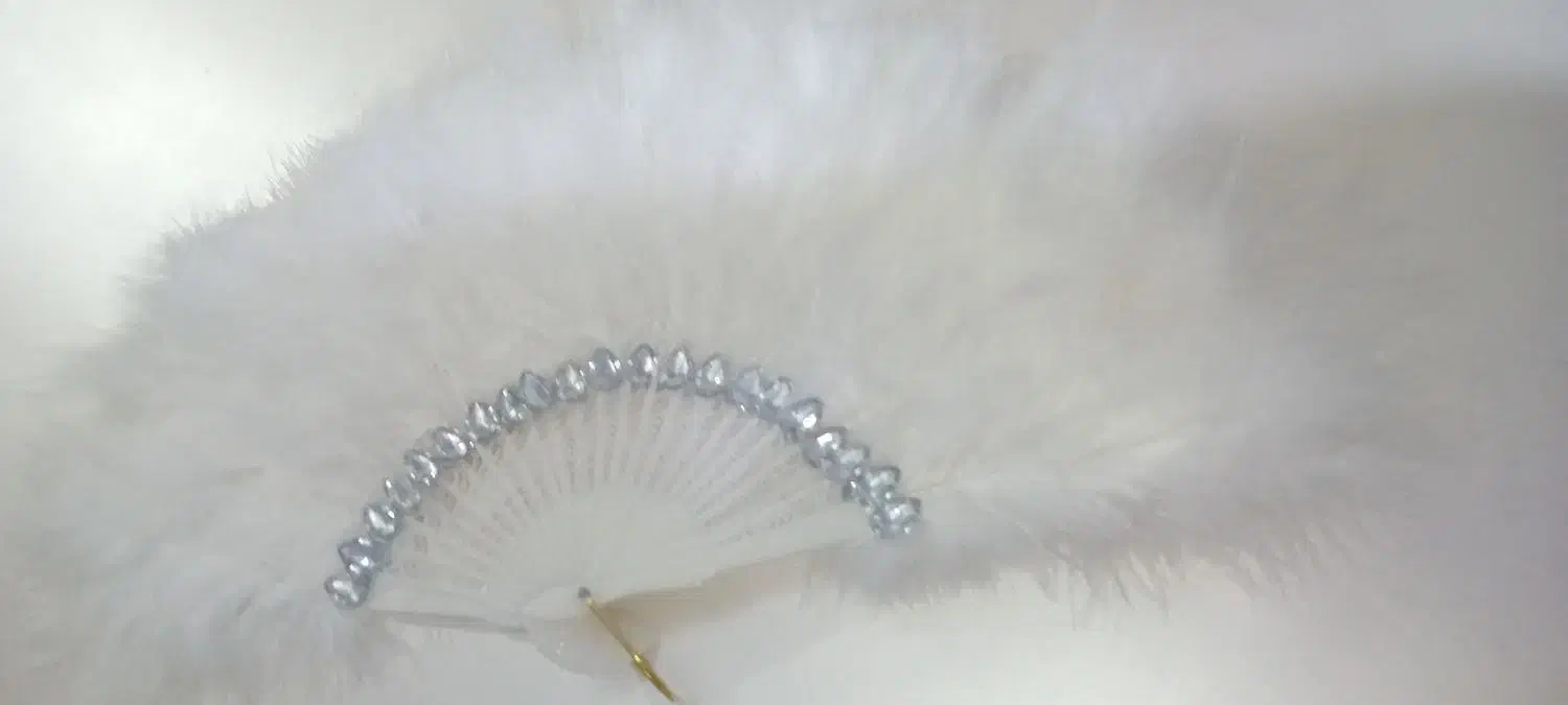 بادبزن عروس|زیورآلات و اکسسوری|کردکوی, |دیوار