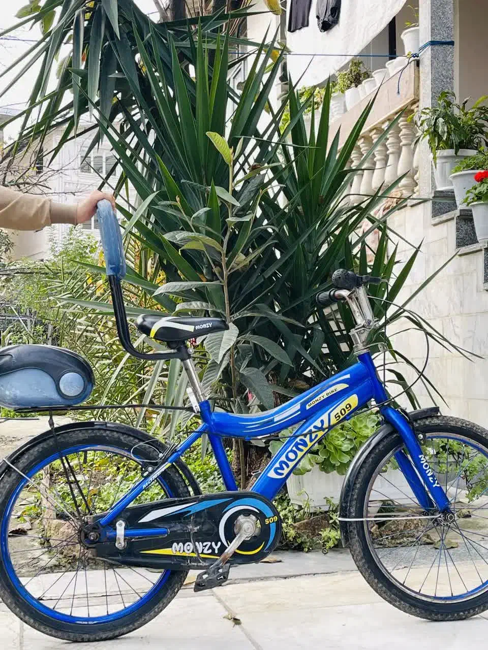 فروش ۲ عدد دوچرخه|دوچرخه، اسکیت، اسکوتر|چوبر, |دیوار