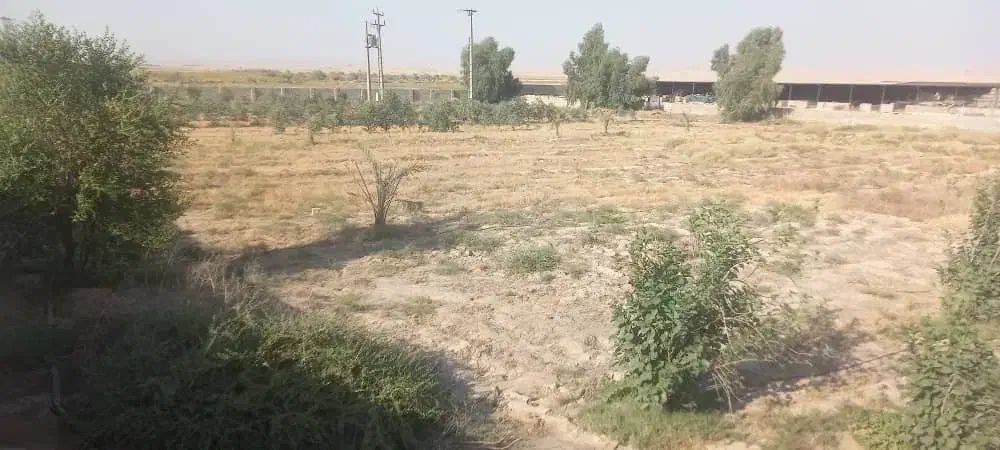 دامداری ۱۰ هزار متر/وام ۷ میلیاردی/چاه عمیق|فروش دفتر صنعتی، کشاورزی، تجاری|رامهرمز, |دیوار