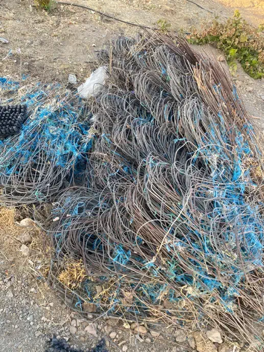 سیم میخک|عمدهفروشی|محلات, |دیوار