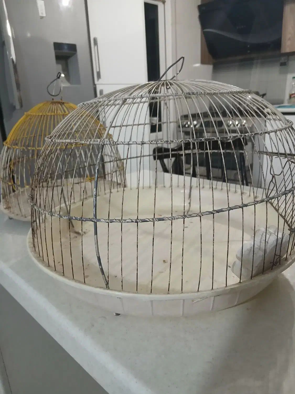 قفس کوچک|لوازم جانبی حیوانات|قم, پردیسان|دیوار