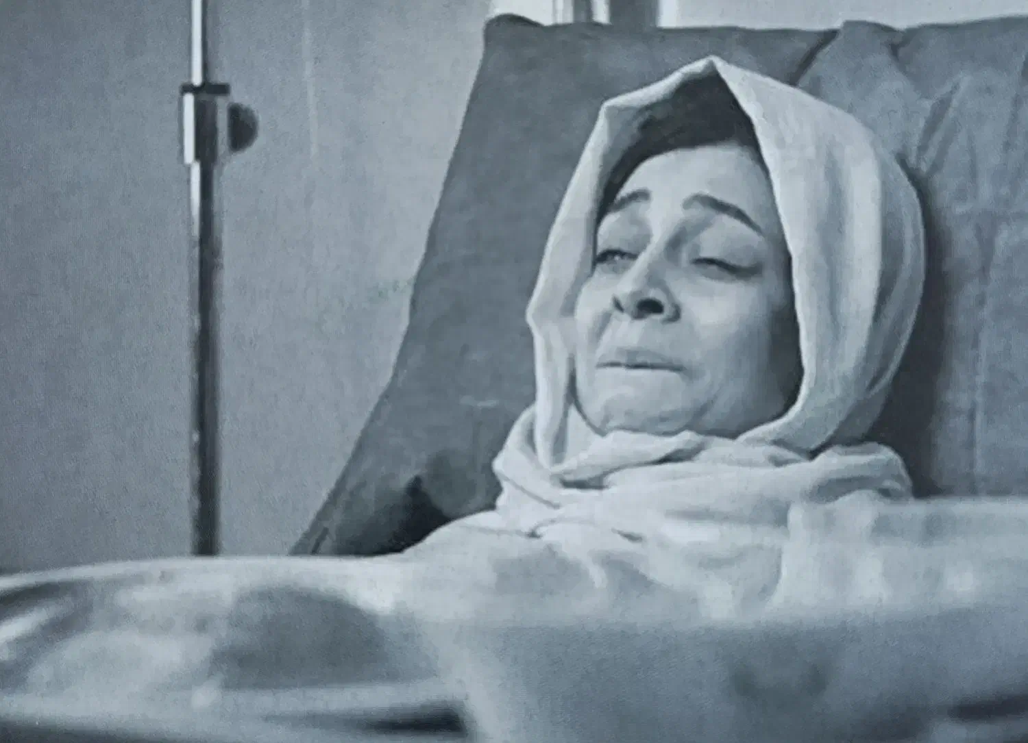 بازی میم چی|اسباب‌‌بازی|ابهر, |دیوار