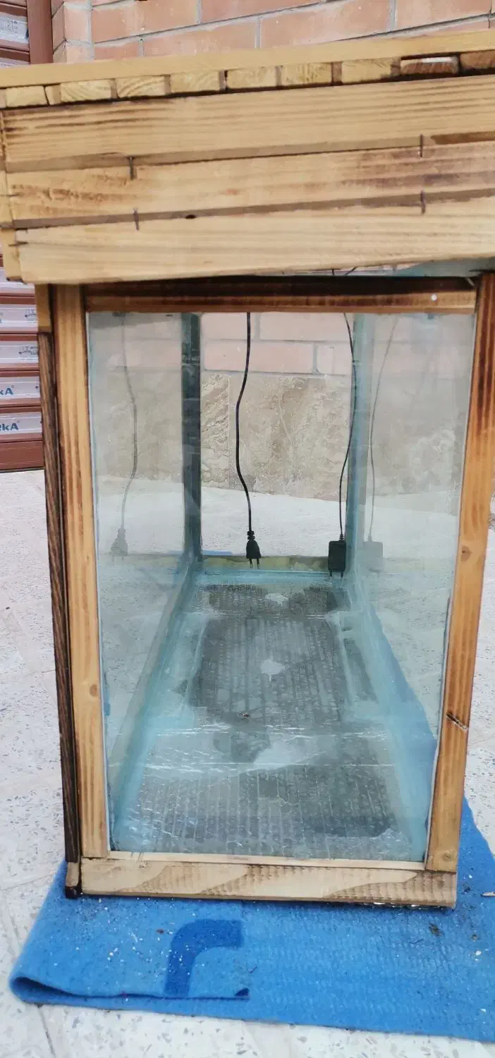 آکواریوم|ماهی|محمدیه-قزوین, |دیوار