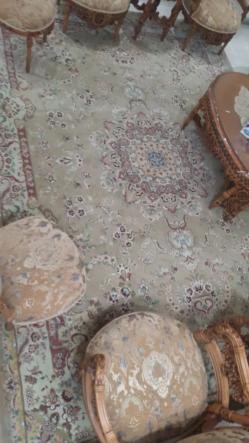 قالی ۱۲ متری|فرش|مشهد, حضرت حجت|دیوار