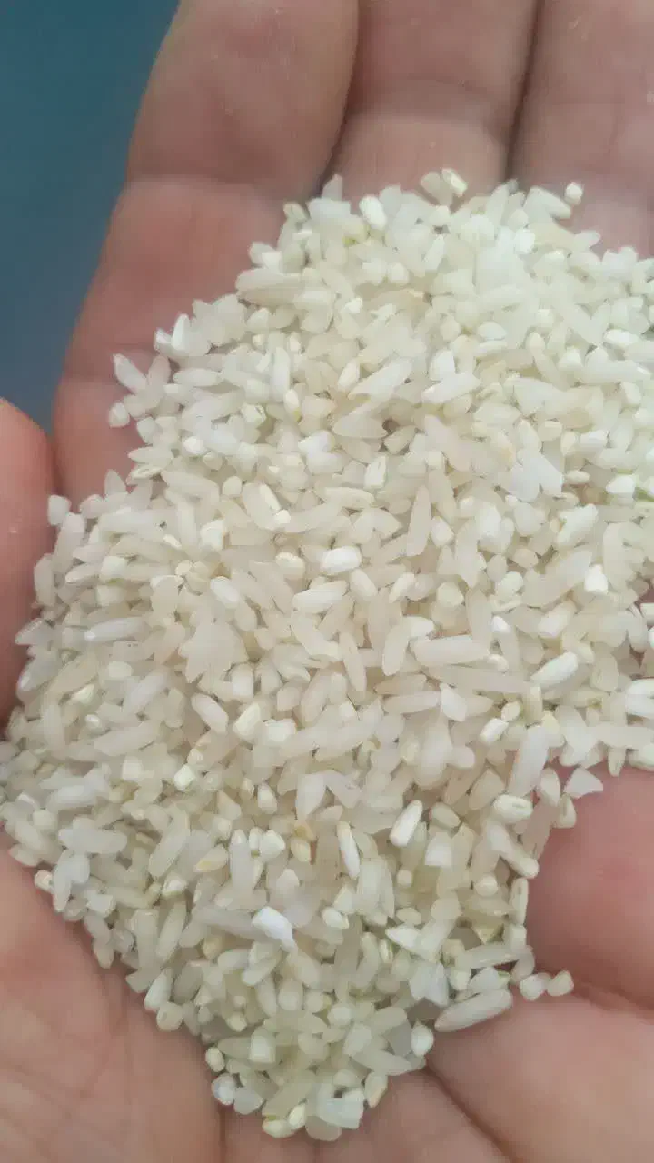 برنج درجه یک شوشتر|خوردنی و آشامیدنی|قم, صفاشهر|دیوار