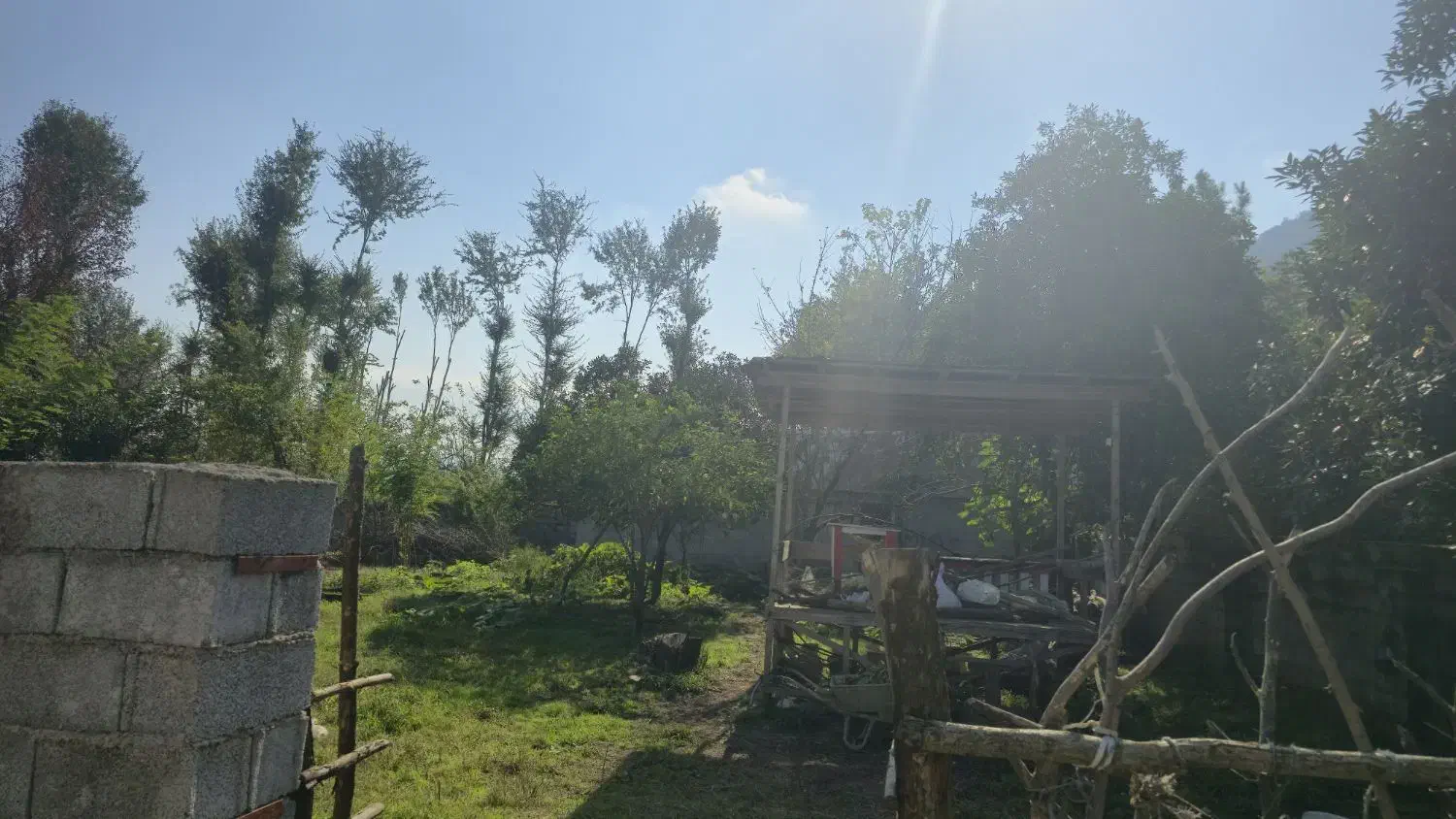 زمین به متراژ ۵۰۰ متر ماسال|فروش زمین و ملک کلنگی|شاندرمن, |دیوار