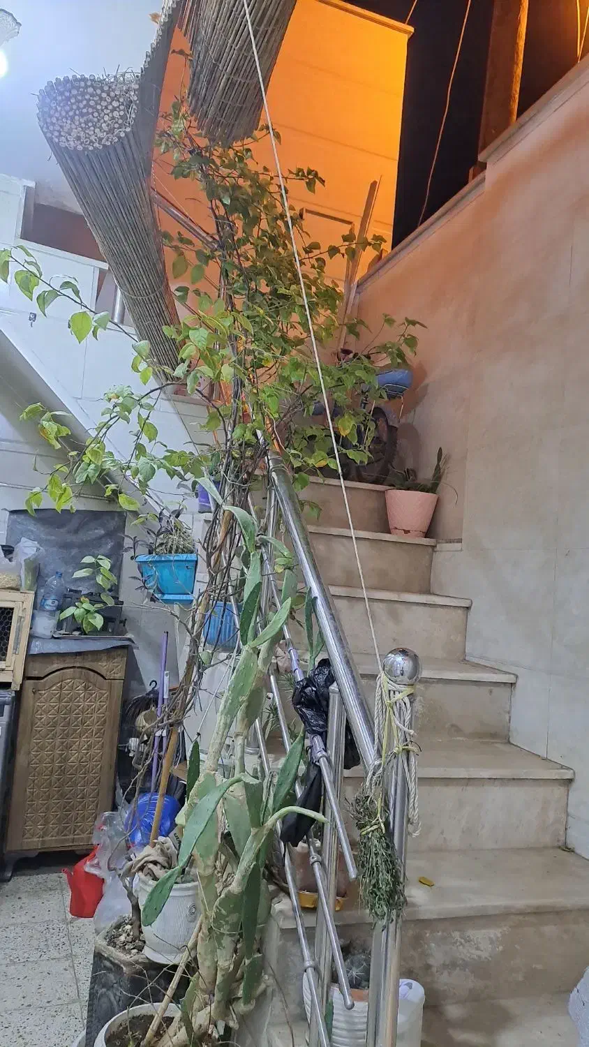 ویلایی ۵۶متردوطبقه۱۵ خرداد.بازسازی شده تمیز|فروش خانه و ویلا|قم, دروازه ری|دیوار