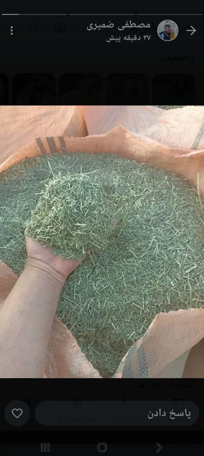 یونجه خردشده|عمدهفروشی|سمیرم, |دیوار