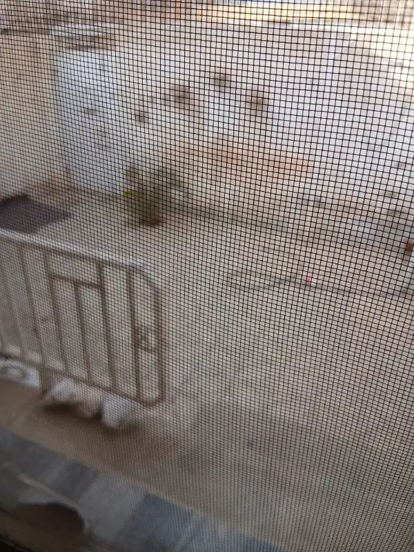 همخونه|اجارهٔ آپارتمان|اصفهان, هوانیروز|دیوار