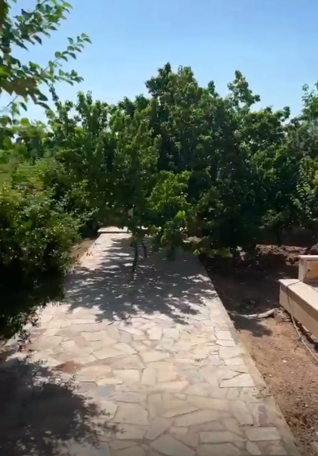 تمییزکار باغ و نگهبان تمام وقت فقط اتباع مجاز|استخدام سرایداری و نظافت|ابریشم, |دیوار