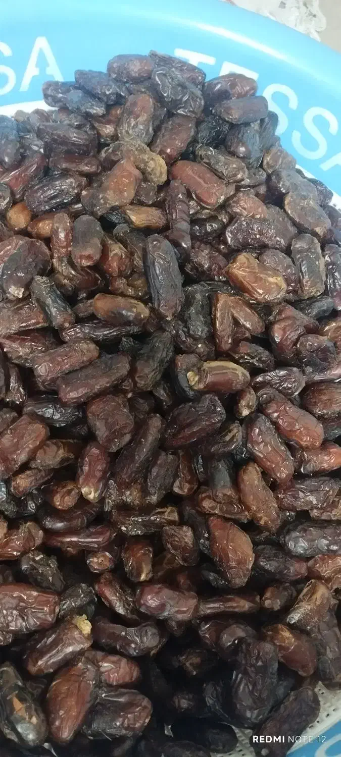 خاصویی پفیلا آویشن اردتمرخرما کارتونی چیپس خرما|خوردنی و آشامیدنی|تهران, شهرک دانشگاه|دیوار