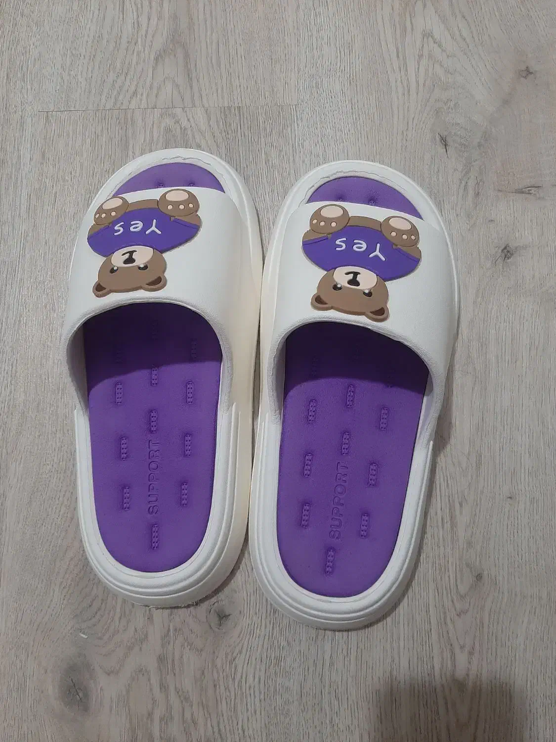 دمپایی طرح خرس|کیف، کفش، کمربند|رشت, پاستوریزه|دیوار