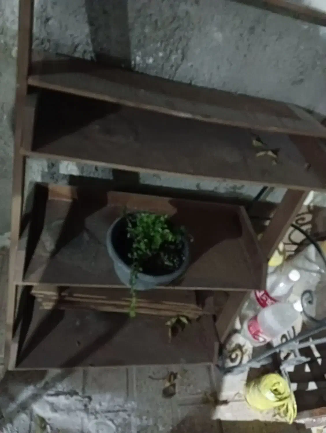 شلف جا گلدانی|کتابخانه، شلف، قفسههای دیواری|بومهن, |دیوار