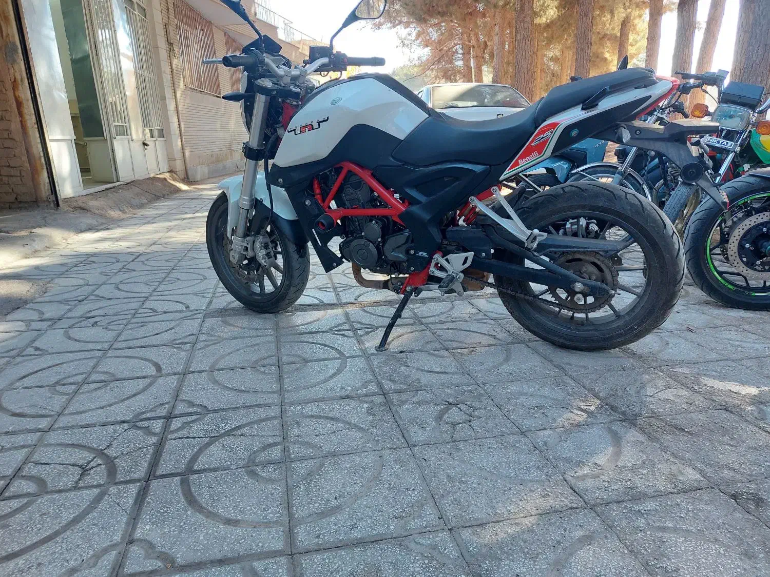 بنلی ۲۵۰ تک سیلندر|موتورسیکلت|اسفراین, |دیوار