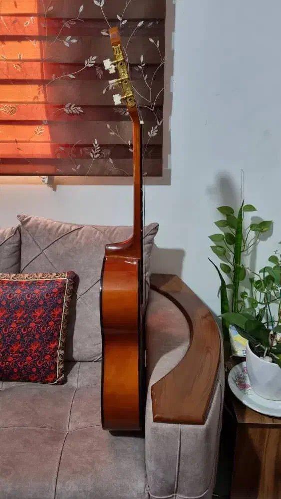 گیتار ویولت|گیتار، بیس، امپلیفایر|رشت, دیلمان|دیوار