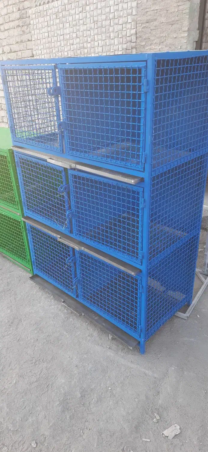 فروش کبوتر دوکتی سرخ|پرنده|خمینی‌شهر, |دیوار