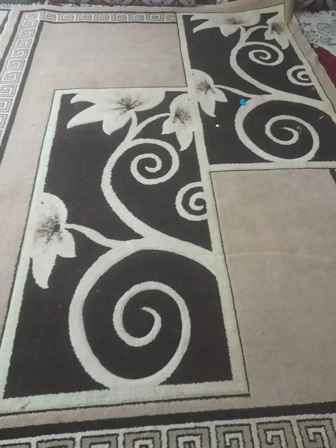 قالی گبه|گلیم، جاجیم، گبه|مسجد سلیمان, |دیوار