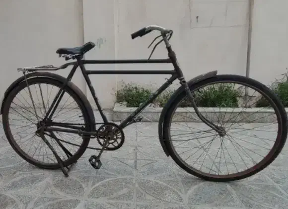 دوچرخه بزرگسال فونیکس|دوچرخه، اسکیت، اسکوتر|بندر ترکمن, |دیوار