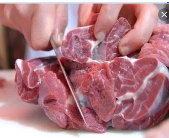 قصابی و سلاخی|خدمات پذیرایی، مراسم|کوهدشت, |دیوار