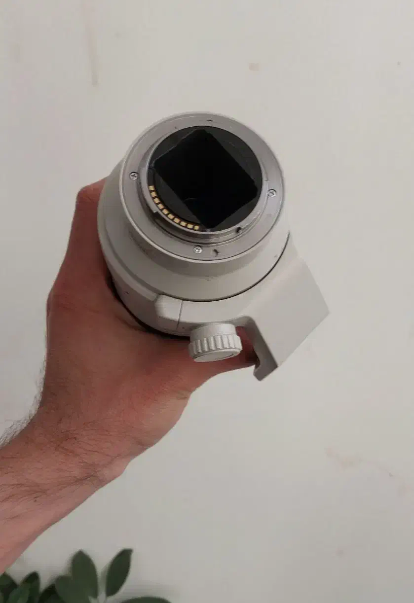 لنز سونی و میکروفون سنهایزر|دوربین عکاسی و فیلم‌برداری|شیراز, تپه تلویزیون|دیوار