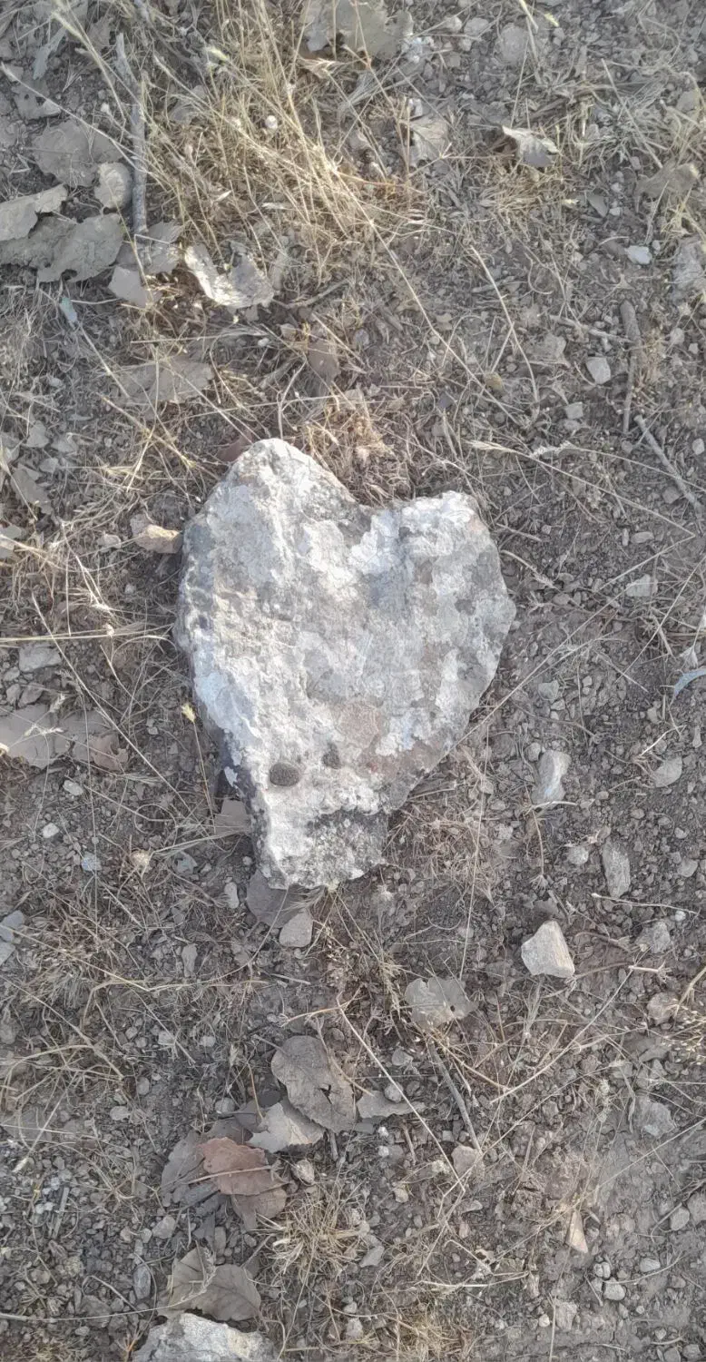 کانال|کلکسیون و سرگرمی|کوهدشت, |دیوار