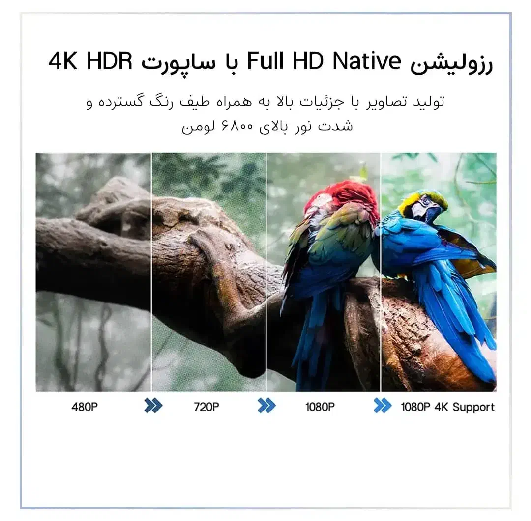 دستگاه + پرده پرژکتور|تلویزیون و پروژکتور|اهواز, پردیس دو|دیوار