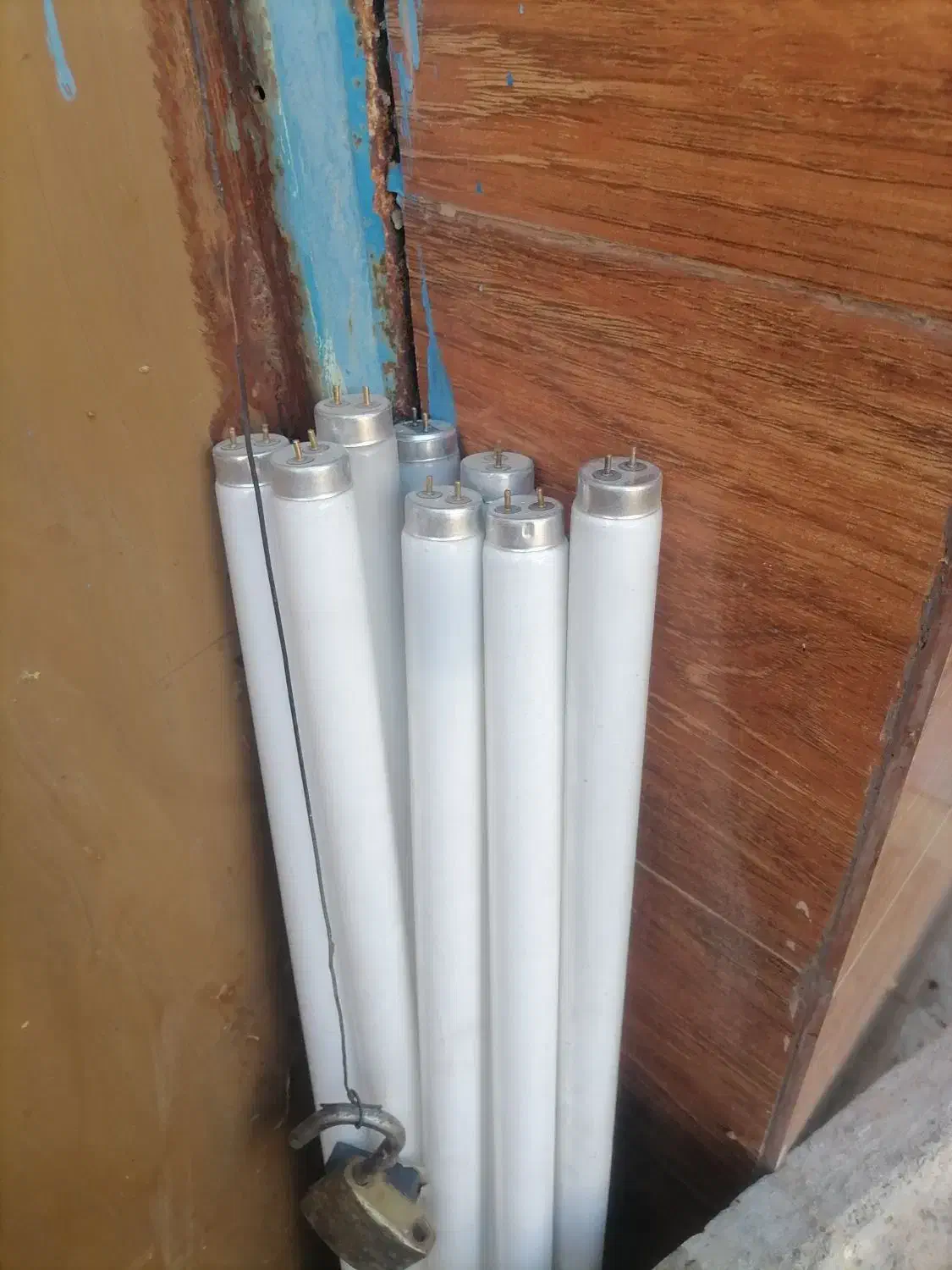 لاپ مهتابی|لامپ و چراغ|سبزوار, جهاد کشاورزی|دیوار