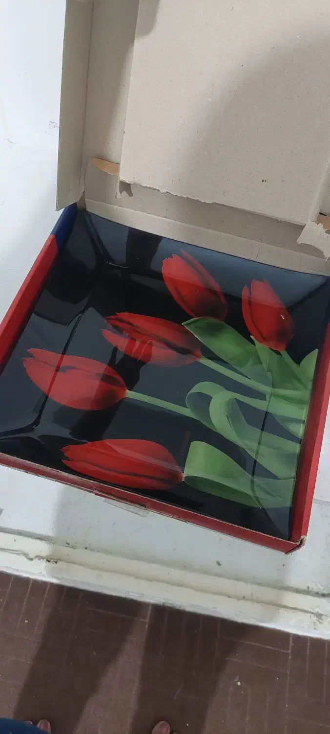 سینی میوه|ظروف سرو و پذیرایی|بندرعباس, |دیوار